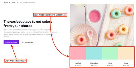 How to Use the Canva Color Palette Generator - Small Business Trends