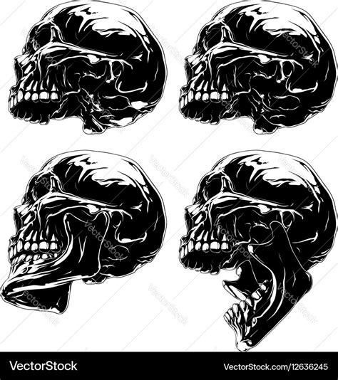 Skull Profile