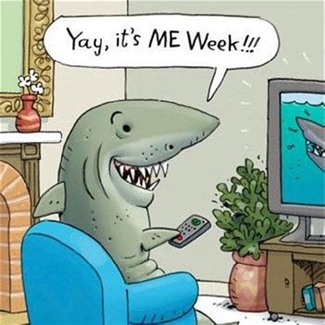 shark week! @Kristin Stanford @Emily Schoenfeld Schoenfeld Eakin | Funny | Funny pictures, Shark ...