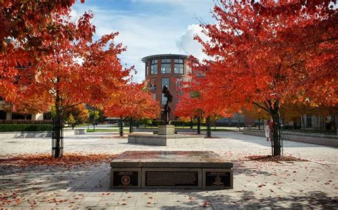 Syracuse Views Fall 2019 — Syracuse University News