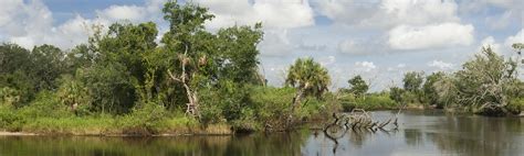 Kissimmee River | South Florida Water Management District