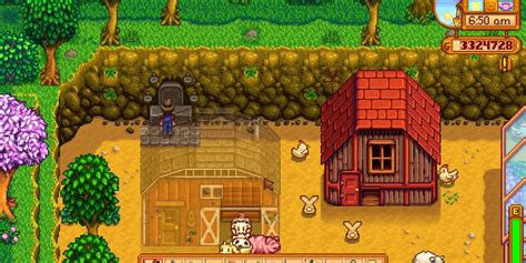 Stardew Valley: The Mysterious Qi Quest Guide