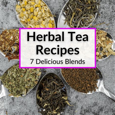 Herbal Tea Recipes (7 Delicious Homemade Blends)
