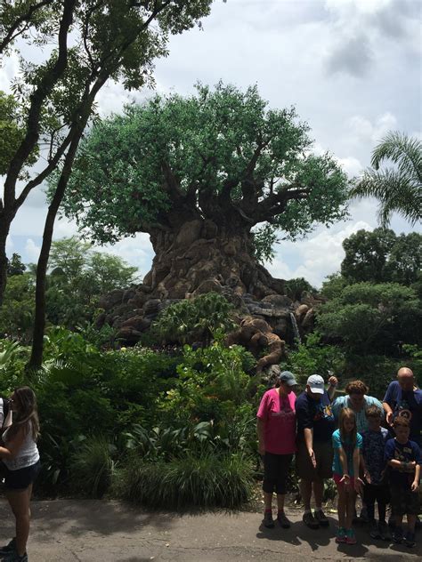 Seth Kubersky's Best Week Ever August 6, 2015: Animal Kingdom Shows ...