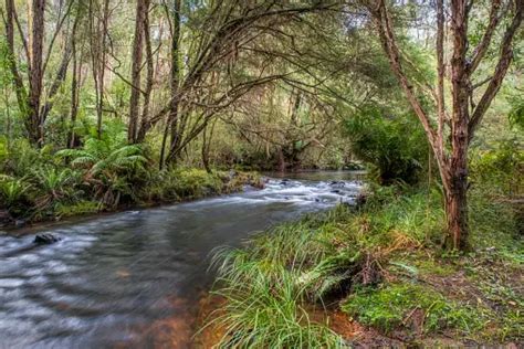 Yarra River Pictures | Download Free Images on Unsplash