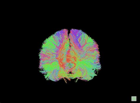 Mapping the Brain with Data Science - Neuroscience News