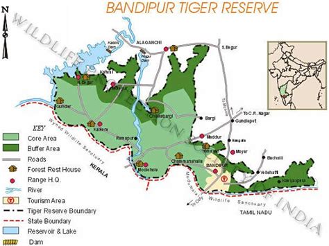 WPSI - Wildlife Protection Society of India - Tiger Reserves Bandipur