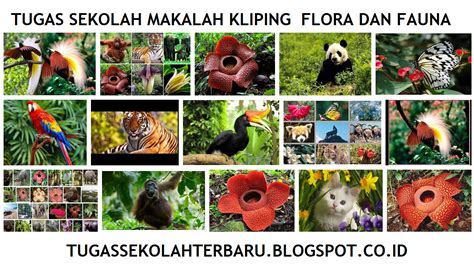 Kliping Flora Dan Fauna Yang Ada Di Indonesia Terbaru