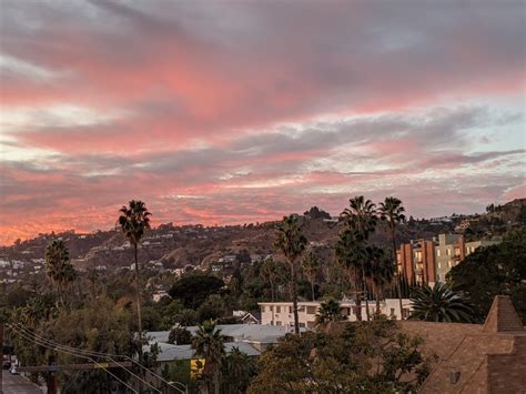 Winter Sunset Over Hollywood Palm Trees: Photo Of The Day | Hollywood ...