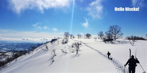 Niseko Ski Resort: Detailed Guide (and Trip Planning Advice)