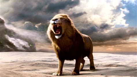 Aslan Lion Wallpaper