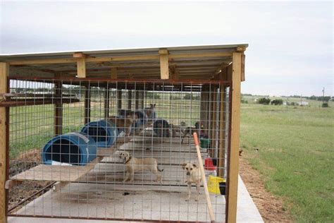 Ideas for kennels | Diy dog kennel, Dog kennel outdoor, Dog boarding kennels