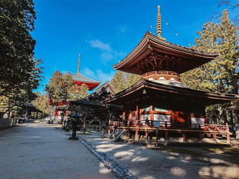 Mount Koya Temple Stay - An Unforgettable Experience - Champagne Flight