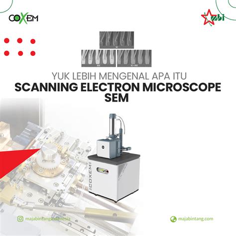 Yuk Lebih Mengenal Apa Itu Scanning Electron Microscope Sem Apa | Sexiz Pix