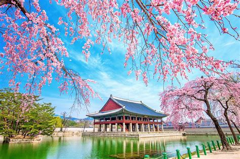 10 Best Places To Visit In South Korea Top 10 Attractions In South Korea Images
