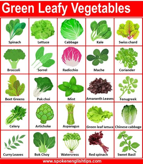 Green Leafy Vegetables Name in English with Pictures | Green leafy ...