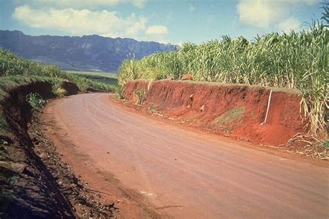 15+ Jenis-Jenis Tanah : Persebarannya Di Indonesia