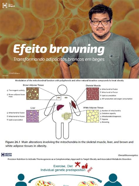 Efeito Browning nos adipócitos apostila | PDF | Adipose Tissue | Adipocyte