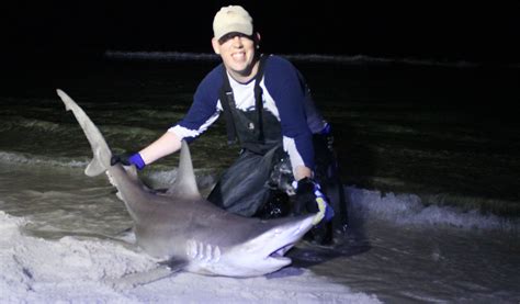 Another great spinner shark from Panama City Beach, Florida. | Shark fishing, Fishing photos ...