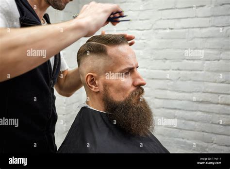 Master cuts hair and beard of men in the barbershop, hairdresser makes ...