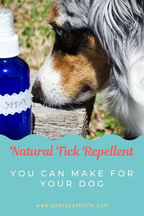 Tick Repellent Dogs Natural