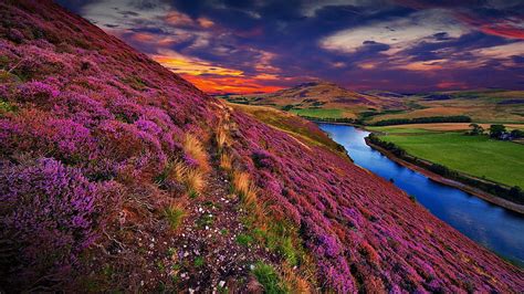 Landscape scenery at Pentland hills near Edinburgh, Scotland, UK, pentland hills scotland HD ...