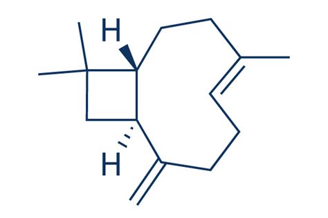 β-Caryophyllene | Immunology & Inflammation related 抑制剂 | 现货供应 | 美国品牌 ...