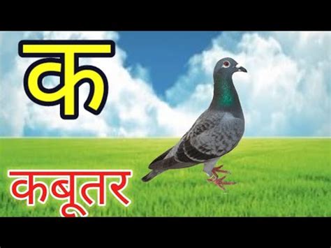 k se kabutar video।a se anar phonic song।learning।kids poem।nursery rhyme।a se kabutar a se ...