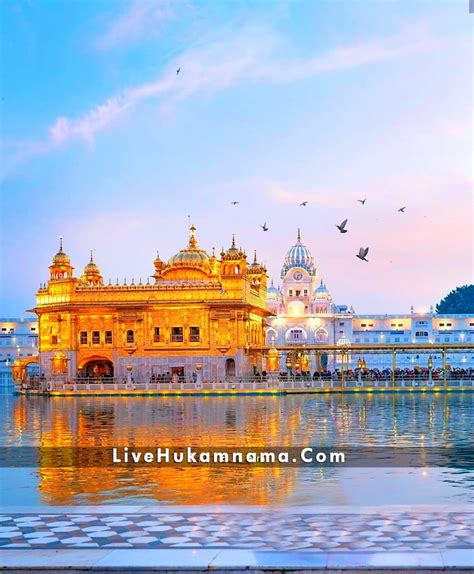 Live Wallpaper Golden Temple - Infoupdate.org