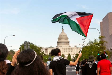 OPINION: The anti-Israel protests and the issue with American education