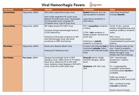 Dengue Hemorrhagic Fever Virus