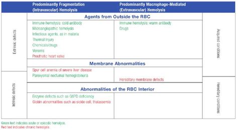 Hemolytic Anemia - Quick review | Epomedicine