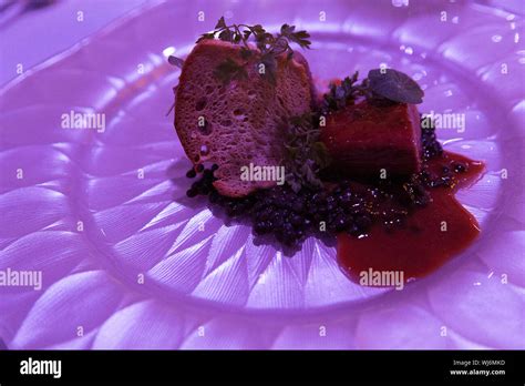 Roast Duck in Cranberry Sauce Stock Photo - Alamy