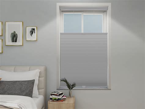 Amazon.com: Changshade Custom Top Down Bottom Up Cellular Shades Blackout, Cordless Blinds for ...