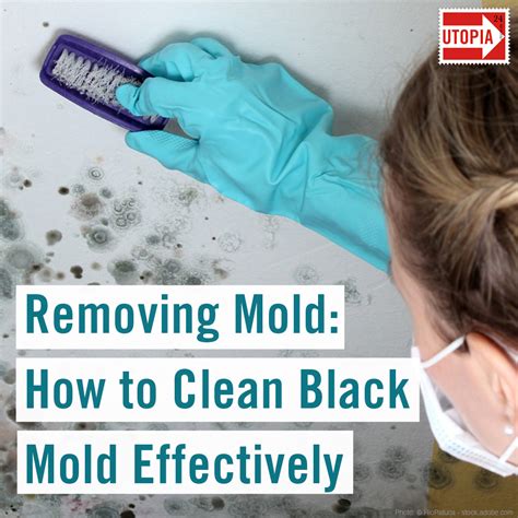 Removing Mold: How to Clean Black Mold Effectively - Utopia