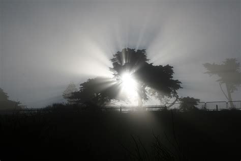 File:Fog shadow of a tree-crepuscular rays.JPG - Wikipedia, the free ...