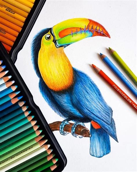 Color and Fun Animal Pencil Drawings | Pencil drawings of animals ...