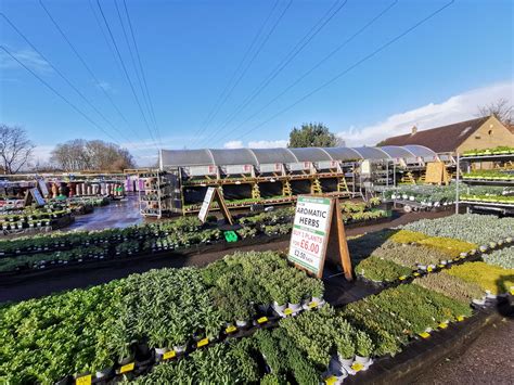 Plants Galore - Exeter | Garden Centre and Hardware Store