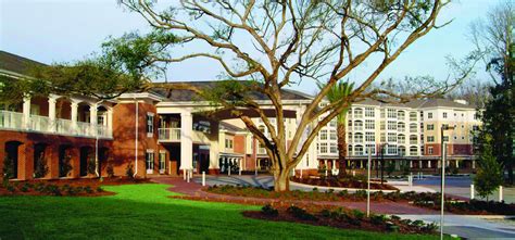 Oak Hammock at the University of Florida - Weitz