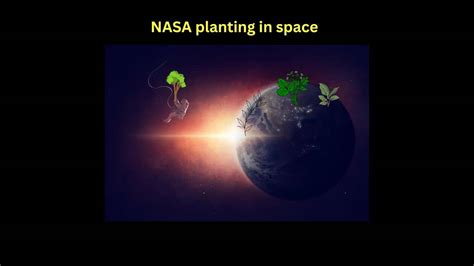 How NASA Growing Plants In Space Names & Reason - Signup Trending ...