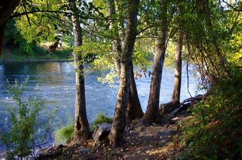 File:Alders on the Rogue, Valley of the Rogue State Park.jpg - Hiking ...