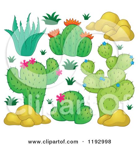 Desert plant clipart - Clipground