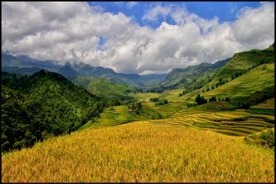 Sapa Rice Terraces by wheretheeyewanders - ViewBug.com