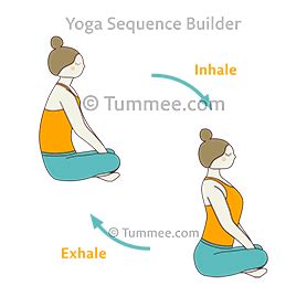 Seated Cat Cow Pose Variation Hands Shins (Upavistha Bitilasana ...