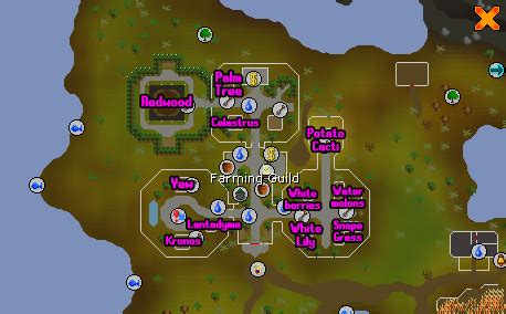 Osrs Herb Patches – Herb 101