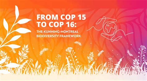 From COP 15 to COP 16: The Kunming-Montreal Biodiversity Framework ...