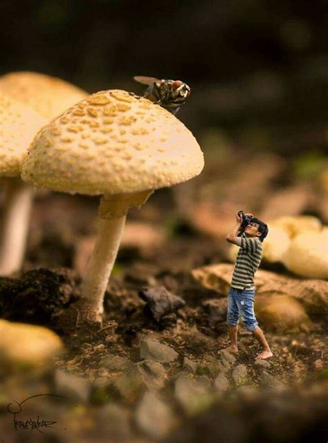 Pin by Daisy Lwin on surprenant | Miniature photography, Tiny world, Miniatures