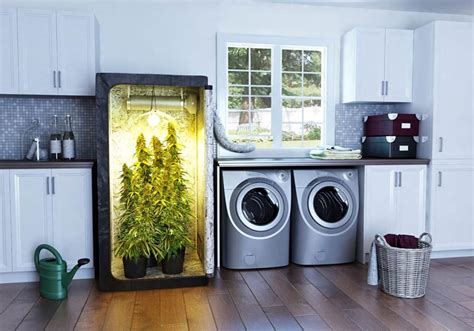 8 Best Grow Tents for Growing Marijuana - 2020 Review