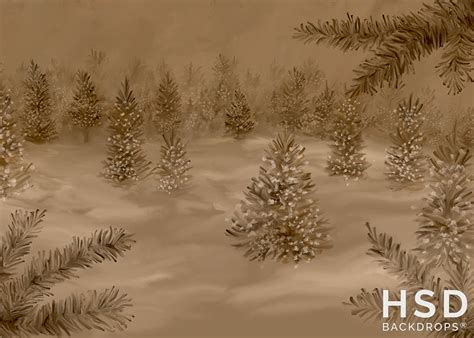 Winter Woodland Photography Backdrop Christmas Photo Background Props