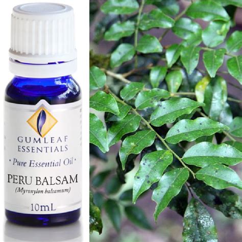 Peru Balsam Essential Oil - Trading Tree